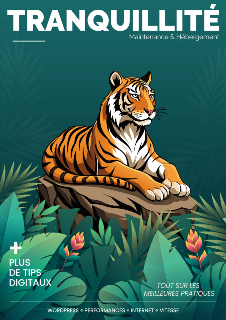 Article Tranquillité - O2switch l’hébergeur web français simple, performant et tout-en-un